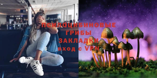 кокс Ладушкин